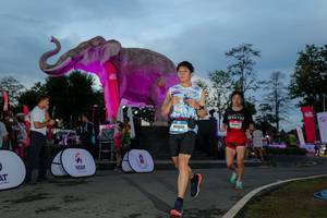 BIB: 
                            <button type="button" onclick="openModal(26529596)" class="btn btn-primary btn-sm float-right btn-popup" data-toggle="modal" data-target=".modal-high-quality">
                        <i class="fas fa-shopping-cart"></i> Add to Cart
                    </button>
                                            <button type="button" onclick="isThisMe(26529596, true)" class="btn btn-success btn-sm float-right btn-popup btn-isme hidden" data-toggle="tooltip" data-placement="bottom" title="นี่คือรูปของคุณใช่ไหม คลิกที่นี่เพื่อเอาเข้าอัลบั้ม">
                        <i class="fas fa-plus"></i> Add to album
                    </button>
                    <button type="button" onclick="isThisMe(26529596, false)" class="btn btn-warning btn-sm float-right btn-popup btn-isnotme hidden">
                        <i class="fas fa-ban"></i> Remove from album
                    </button>